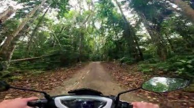 Point of view driving riding a motorbike scooter along tropical roads in the Philippines, Asia. lush green jungle and bright sunshine, travel content, scenic tourism, vacation holiday 