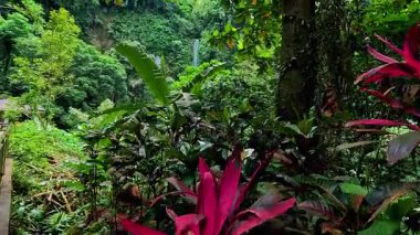 Point of view of huge waterfalls, tropical jungle and blue mountain waters, travelling Asia, Philippines, vacation holiday, green biodiversity, scenic 