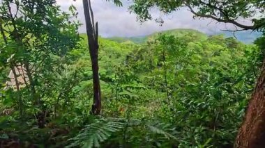 Dramatic lush tropical jungle and volcanic mountain views on Camiguin Island Philippines, captured as travel and tourism content for vacation and backpacking media