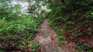 Dramatic lush tropical jungle and volcanic mountain views on Camiguin Island Philippines, captured as travel and tourism content for vacation and backpacking media