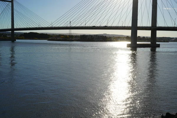 Puente Blanco Puente Sobre Agua Punto Referencia Puente Cable Fondo — Foto de Stock
