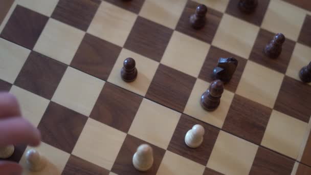 Люди Грають Тільки Шахи — стокове відео