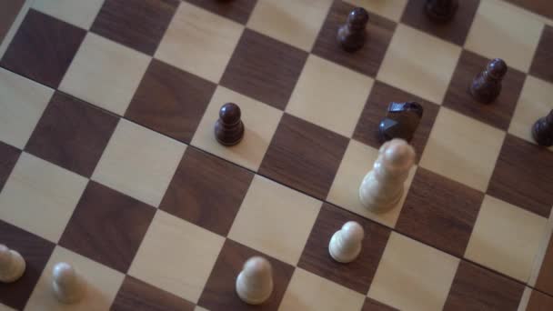 Pessoas Que Jogam Xadrez Apenas Mãos — Vídeo de Stock