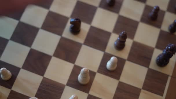 Emberek Csak Sakkoznak — Stock videók