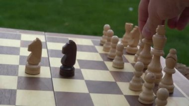 Çiçekler, çiçek buketi, çiçek toplama vazosu, kapalı alan çiçekleri, vazo, çiçek aranjmanı,