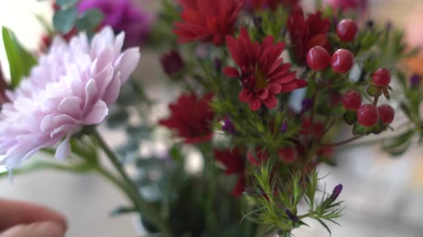 Fleurs Mettre Ensemble Bouquet Fleurs Cueillette Main Des Fleurs Vase — Video