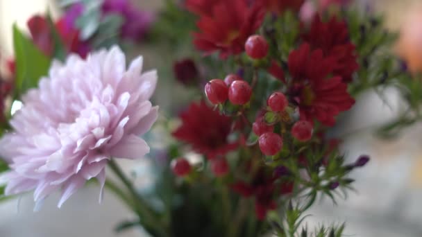Λουλούδια Βάζοντας Μαζί Μπουκέτο Λουλουδιών Χέρι Συλλογή Λουλουδιών Βάζο Λουλουδιών — Αρχείο Βίντεο