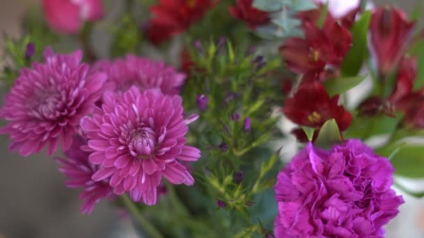 Fleurs Mettre Ensemble Bouquet Fleurs Cueillette Main Des Fleurs Vase — Video