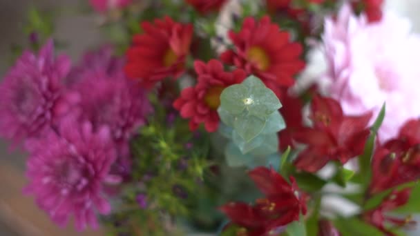 Blumen Blumenstrauß Zusammenstellen Blumen Von Hand Pflücken Blumenvase Zimmerblumen Vase — Stockvideo