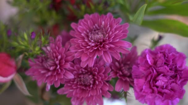 Flores Juntando Buquê Flores Colhendo Flores Vaso Flores Flores Interiores — Vídeo de Stock