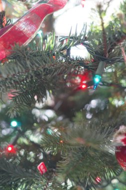 Noel ağacı, Noel süsleri, süsler, dekorlar, kapalı tatiller, tatil süslemeleri, mevsimlik, dekore edilmiş evler, ağaç, Aralık, mevsim, 