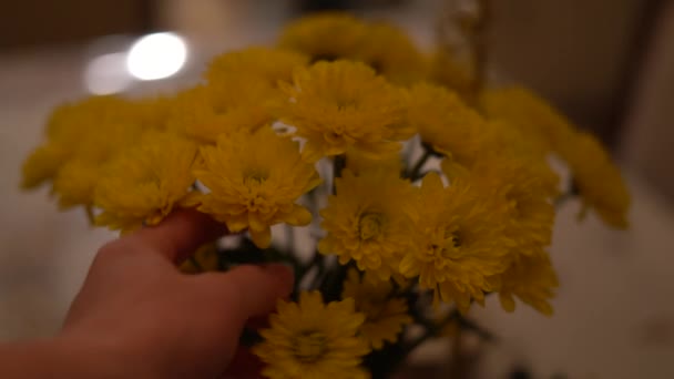 Ramassage Fleurs Fleurs Jaune Bouquet Floristique Arrangements Floraux — Video