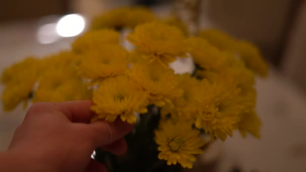 Zbieranie Kwiatów Kwiatów Żółty Bukiet Kwiaciarnia Kompozycje Kwiatów — Wideo stockowe