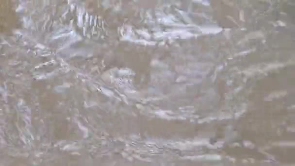 截留河流中飞溅的小径 — 图库视频影像