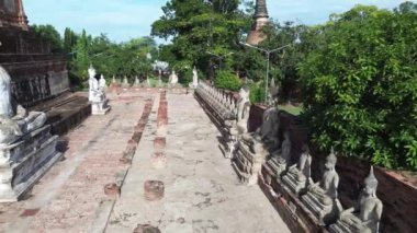 Wat Yai Chai Mongkol, Phra Nakhon Si Ayutthaya 'daki tapınak avlusunda meditasyon yapan çok sayıda antik Buda heykelinin sinematik hareketi..