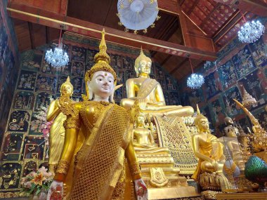 Bir Golden Thai tapınağında. Wat Phanan Choeng, Ayutthaya, Tayland, 2 Aralık 2024 