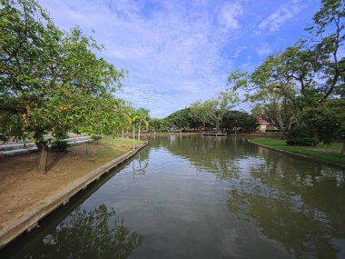 Doğa yeşili arka plan, sonbahar parkındaki gölet.