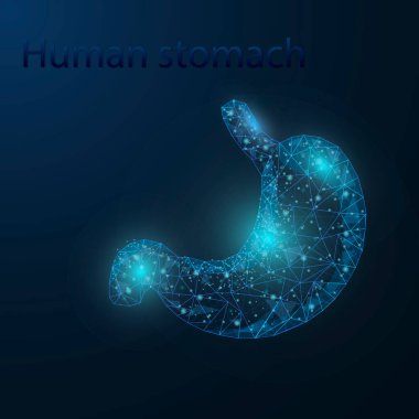İnsan mide anatomisi organı yarı saydam düşük polyester üçgen fütüristik parlama. Koyu mavi arka planda. Karın hastalıkları tıbbi yenilik kavramı.