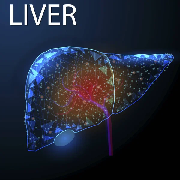 İnsan karaciğer iltihabı, kablo çerçevesi düşük poli tarzı, tıbbi, farmakoloji kavramı, hepatit tedavisi, koyu mavi arkaplan üzerine soyut modern 3D vektör çizimi.