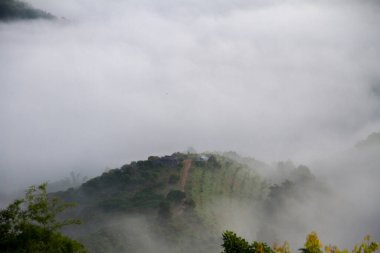 Sabahları bulutlar denizi Kuzey Tayland 'da turistik bir yer.