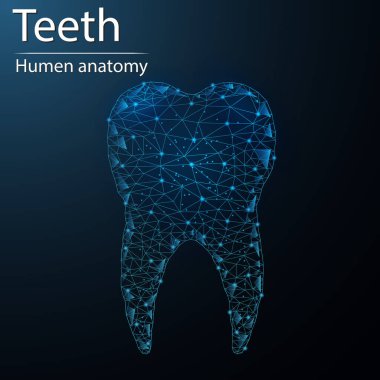 İnsan dişi anatomisi organı yarı saydam düşük poliüreli üçgen fütüristik parlaklık. Koyu mavi arka planda. Diş sistemi hastalığı tıbbi yenilik kavramı.