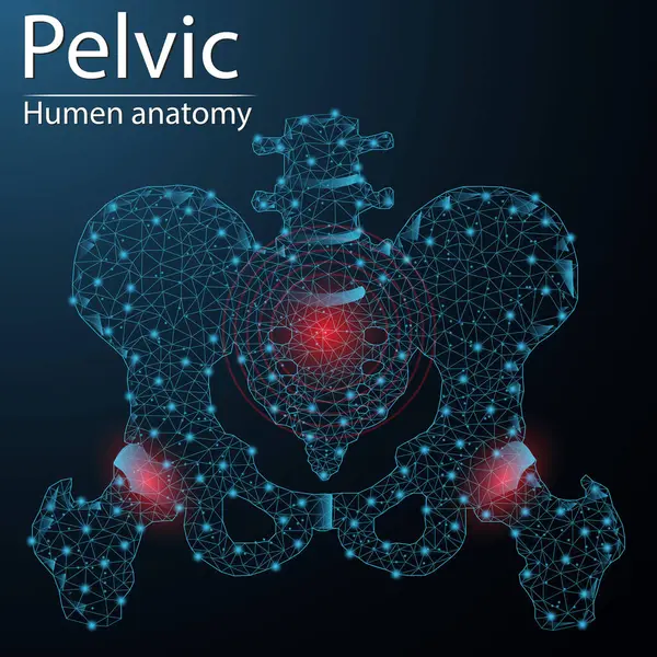 Leğen kemiği ve kalça anatomisi organı yarı saydam düşük polyester üçgen parlak. Koyu mavi arka planda. İskelet sistemi hastalıkları tıbbi yenilik kavramı.