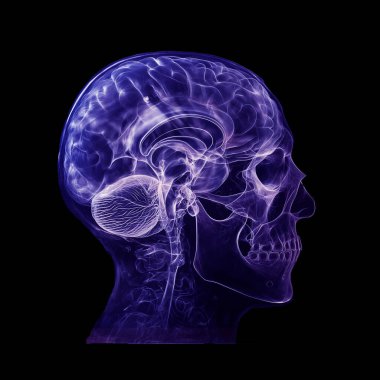 Humen brain and skull  x-ray film on a dark background, Healthcare and medicine concept clipart