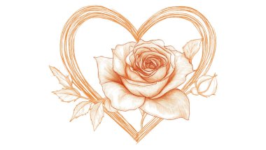 Kalp şeklinde turuncu gül çizgisi.