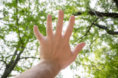 Hand pointing to the sky in a forest blocking the sun, concept of nature and humanity