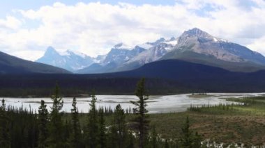 Saskatchewan 'daki dağlar, ormanlar ve nehir, Jasper Ulusal Parkı. Yüksek kalite 4k görüntü