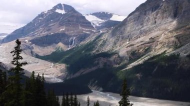 Kanada, Alberta 'daki Banff Ulusal Parkı' nda çevresindeki dağ ve ormanlarla birlikte açık mavi Peyto Gölü 'ne bakıyorum. Kanada Kayalıkları 'ndaki buzul gölü. Yüksek kalite 4k görüntü