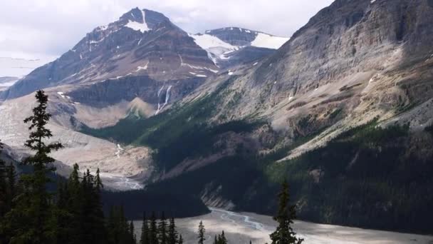 Widok Jasnoniebieskie Jezioro Peyto Otaczającymi Górami Lasami Parku Narodowym Banff — Wideo stockowe