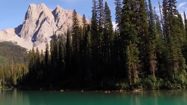 晴れた日のエメラルド湖の明るい青い氷河水 ヨーホ国立公園 アルバータ カナダ カナダのロッキー山脈の中心部にある高山と濃厚な松林に囲まれた湖 — ストック動画
