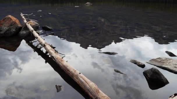 피라미드 호수에 피라미드 섬에서 재스퍼 앨버타 캐나다 조밀한 소나무 숲으로 — 비디오