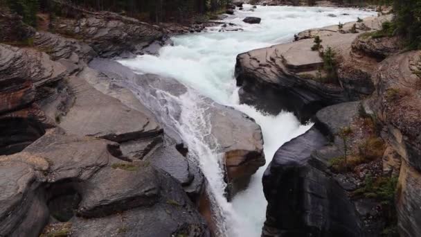 蓝色的水流经加拿大艾伯塔省班夫国家公园的Mistaya峡谷 加拿大落基山脉被茂密的松树林和高耸的锯齿状山脉环绕的瀑布 — 图库视频影像