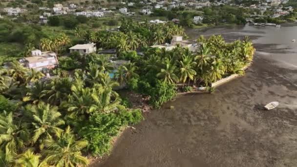 Domy Ludów Lokalnych Wśród Palm Tropikalnych Mauritius Widok Powietrza — Wideo stockowe