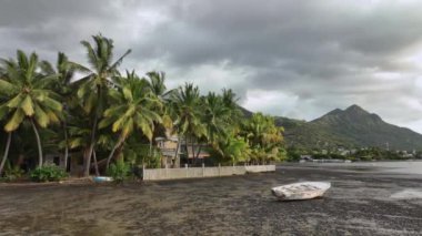 Houses Of Local People Among Tropical Palm Trees, Mauritius, Aerial View