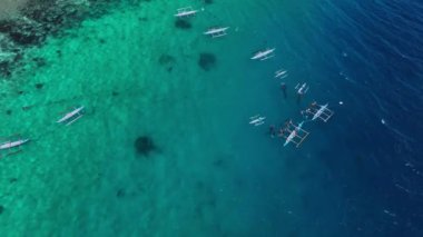 Snorkeling With Rare Whale Sharks On Cebu Island, Philippines, Aerial View