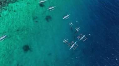 Snorkeling With Rare Whale Sharks On Cebu Island, Philippines, Aerial View