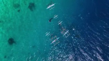 Snorkeling With Rare Whale Sharks On Cebu Island, Philippines, Aerial View