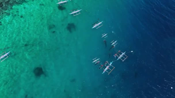 Esnórquel Con Tiburones Ballena Rara Isla Cebú Filipinas Vista Aérea — Vídeo de stock