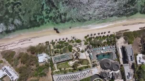 Luxury Beach Resort Ocean Coast Aerial View Mauritius — стокове відео