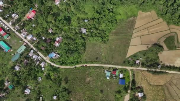 Terra Agrícola Ilha Verde Palawan Vista Aérea — Vídeo de Stock