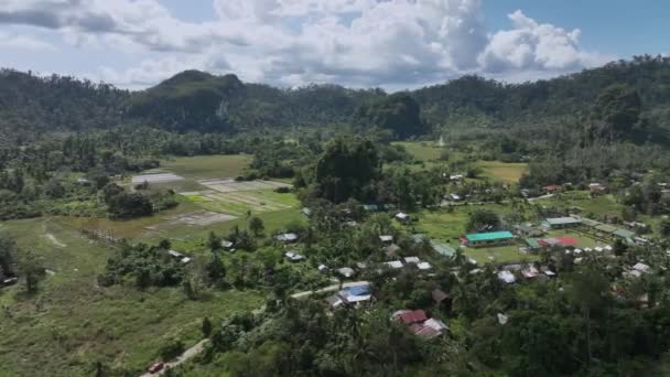 Terra Agrícola Ilha Verde Palawan Vista Aérea — Vídeo de Stock