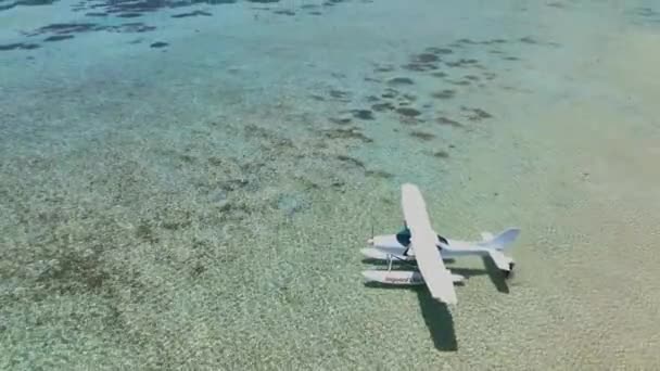 モーン ブラバント周辺の観光飛行機 モーリシャス 空中ビュー — ストック動画