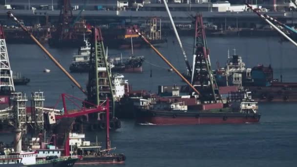 Barki Port Towarowy Hongkongu — Wideo stockowe