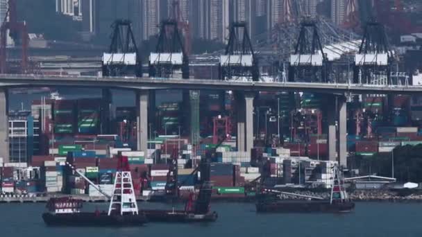 香港市のバージと貨物港 — ストック動画