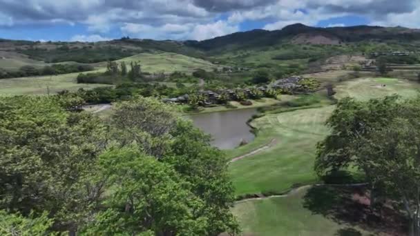 Luksusowe Wille Otoczone Zielenią Mauritius Widok Powietrza — Wideo stockowe