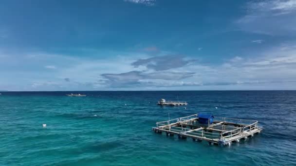 Granjas Peces Frente Costa Isla Cebú Filipinas Vista Aérea — Vídeo de stock