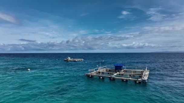 Fischfarmen Vor Der Küste Der Insel Cebu Auf Den Philippinen — Stockvideo